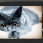 Фоторедактор с рабочим изображением