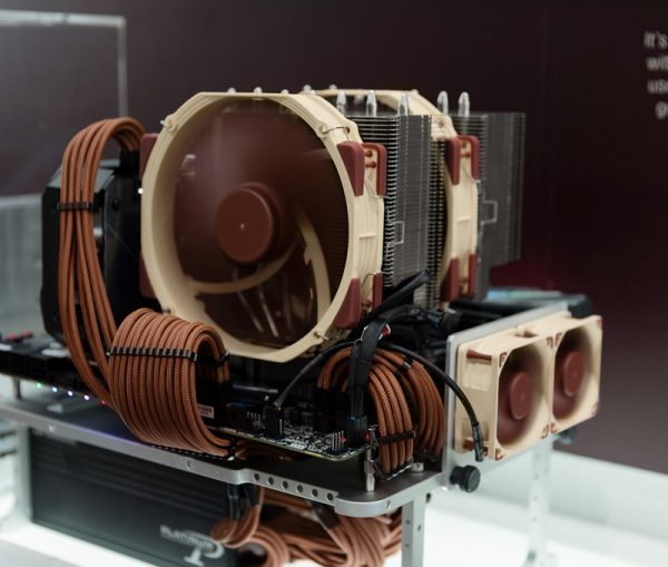 Noctua